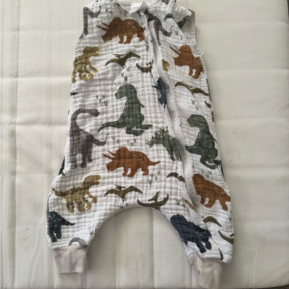 Dinosaur Print Baby Sleep Sack
